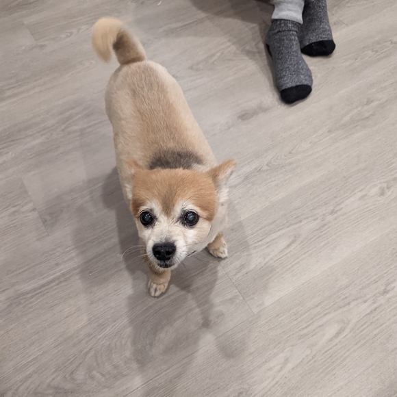 Meet your Posher, Karen - Picture 5 of 10